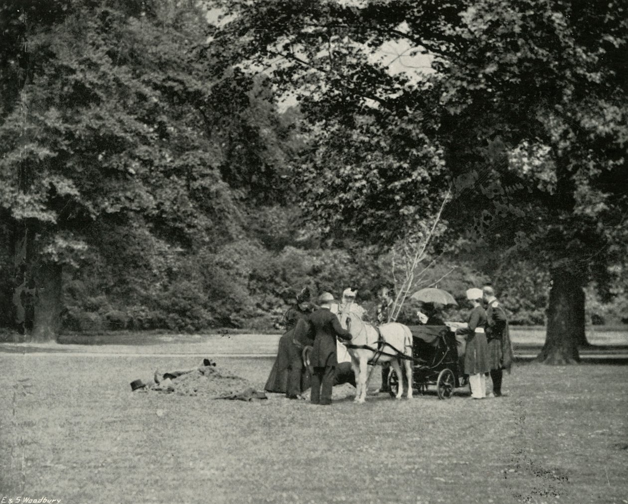Sa Majesté plantant un arbre dans les jardins du palais de Buckingham en mémoire du jubilé, juin - E. and S. Woodbury