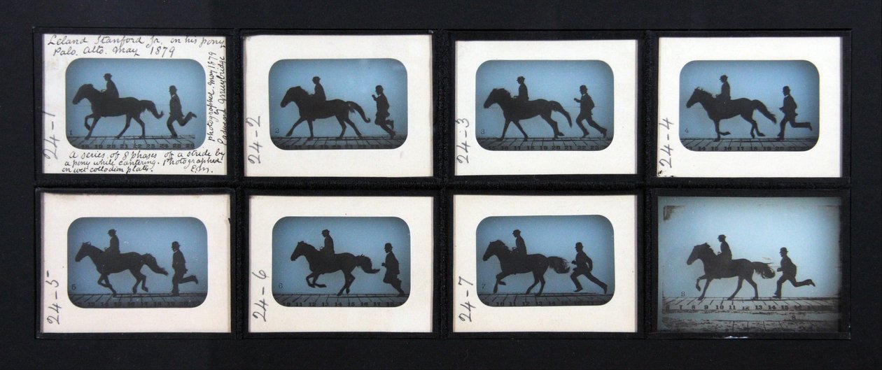 Leland Stanford Jr. sur son poney Gypsy - Eadweard Muybridge