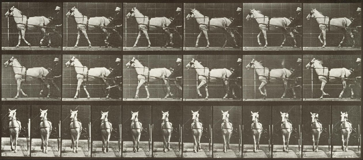 Marche, Sulky, jument gris clair, Katydid - Eadweard Muybridge