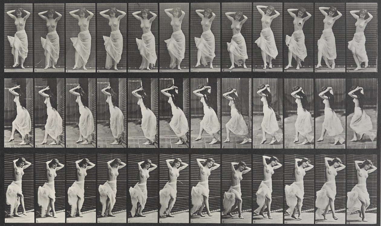 Planche de locomotion animale 190 - Eadweard Muybridge