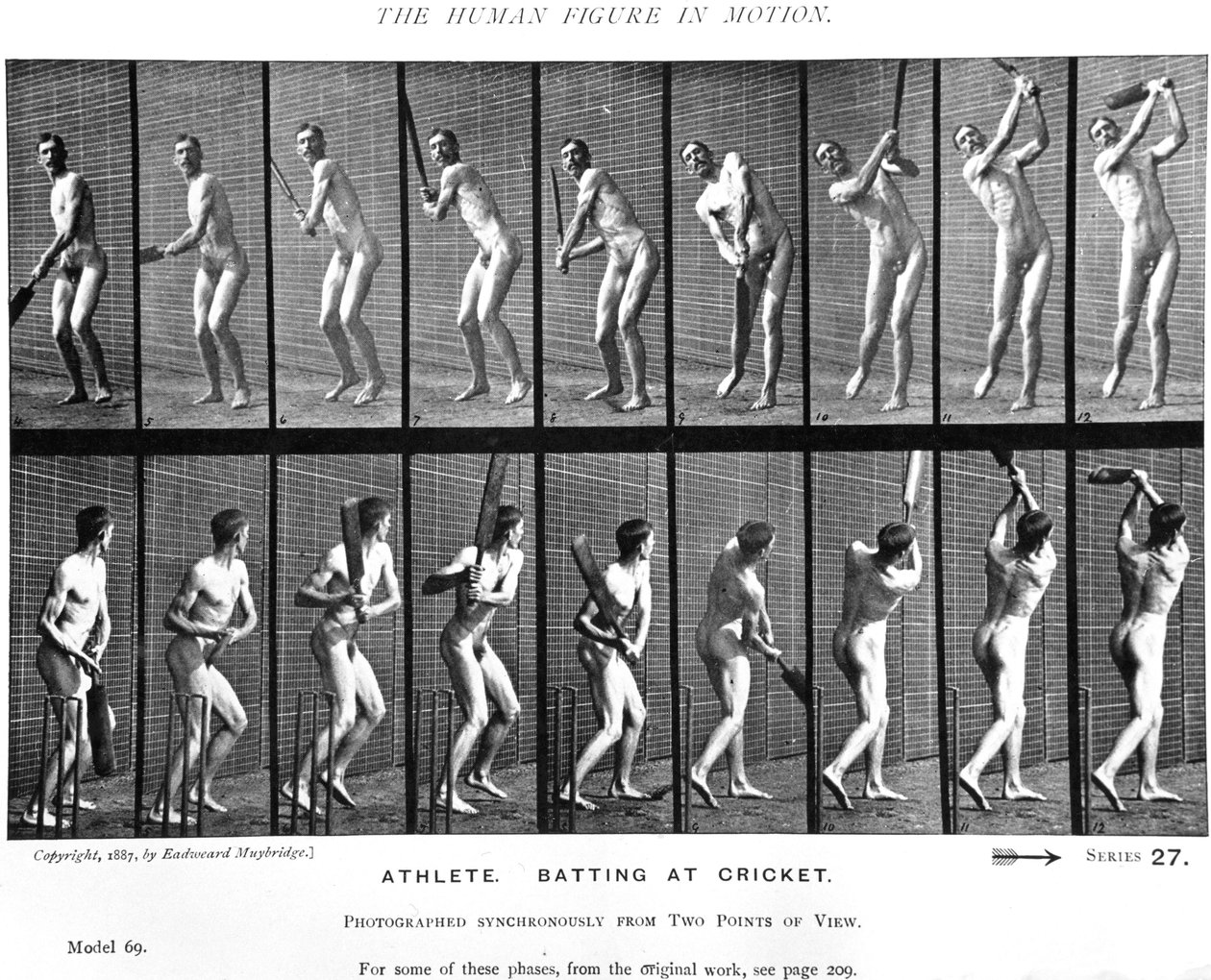 Joueur de cricket, de 