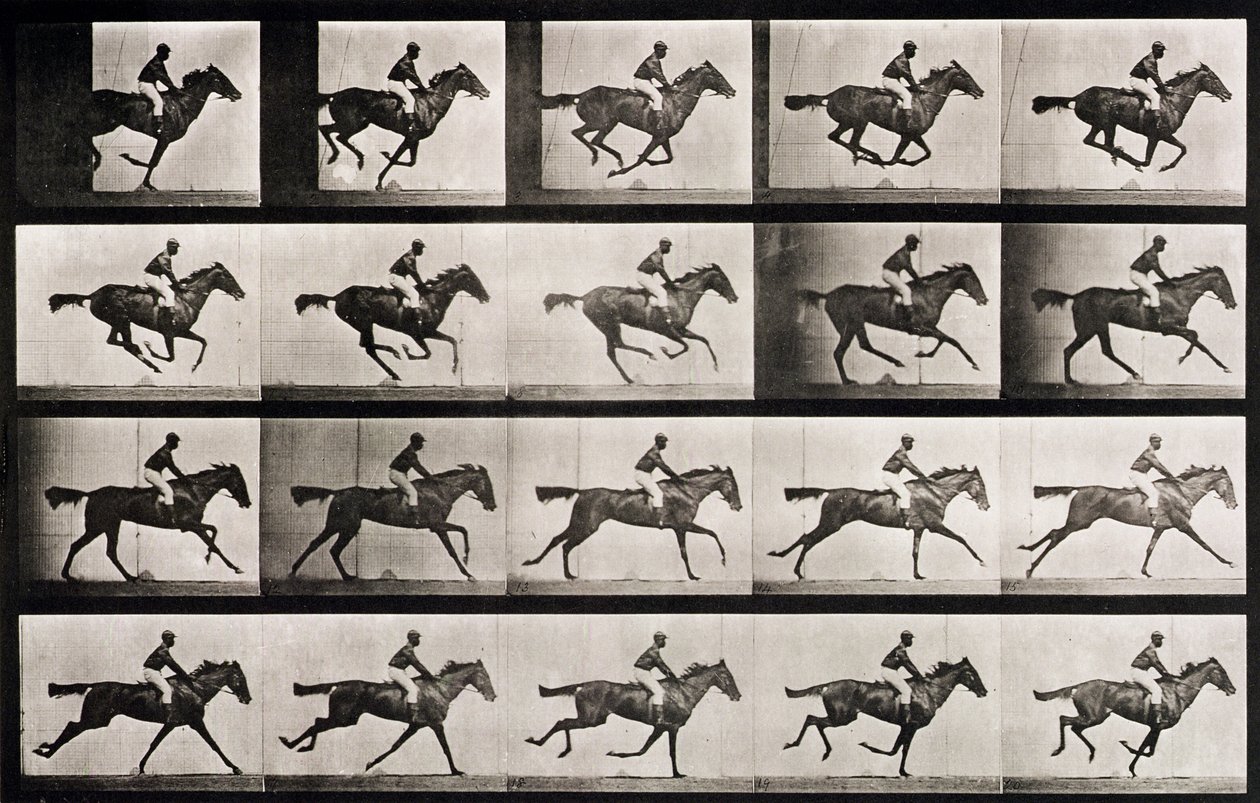 Jockey sur un cheval au galop, planche 627 de 