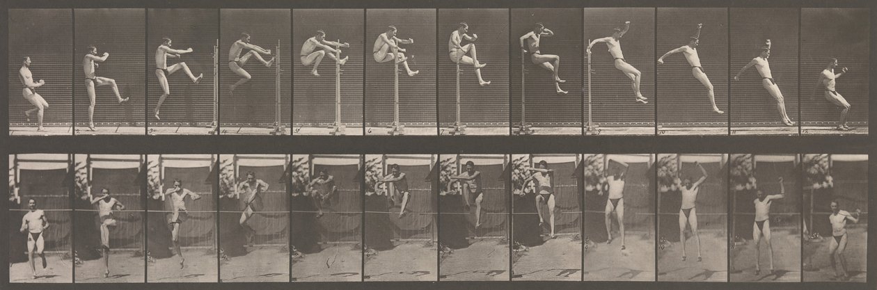 Locomotion animale. Une enquête électro-photographique sur les phases consécutives de l