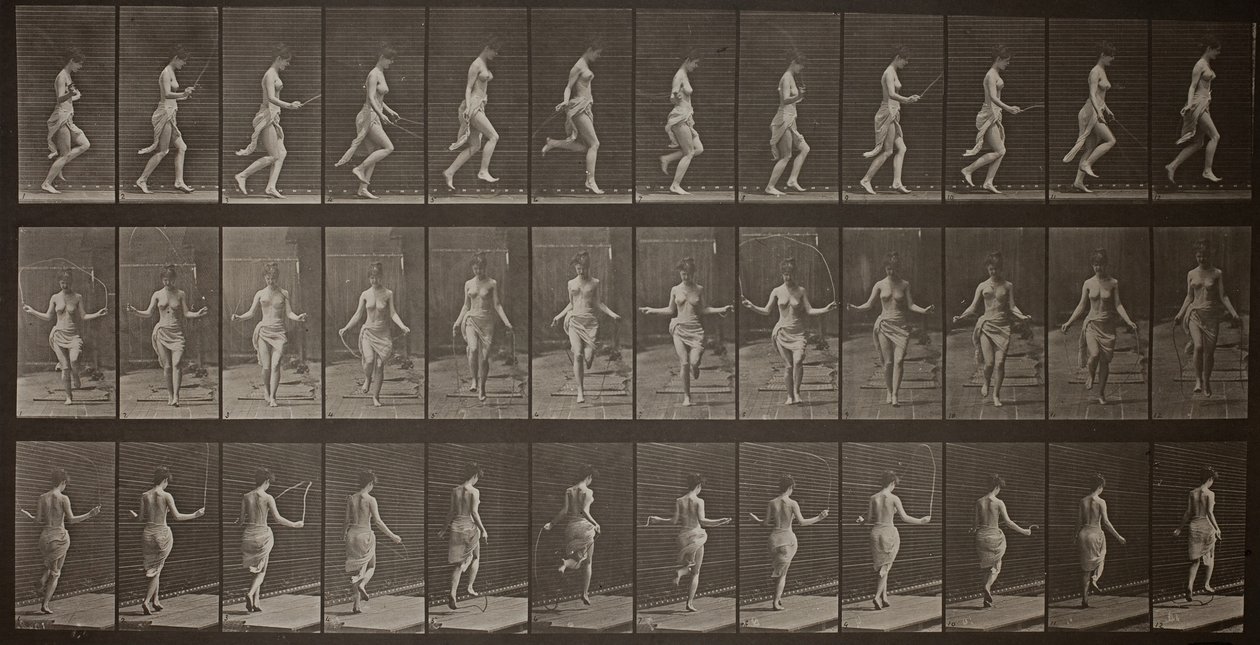 Locomotion animale, Planche 174 - Eadweard Muybridge