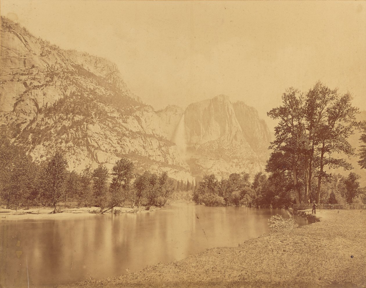 Chutes du Yosemite. (Grand ours grizzli.) Chute de 2600 pieds. - Eadweard J. Muybridge