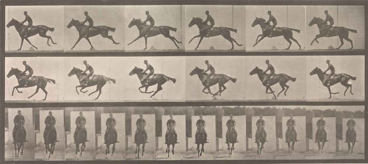 [Cheval et cavalier au galop], 1883-86, imprimé en 1887 - Eadweard Muybridge