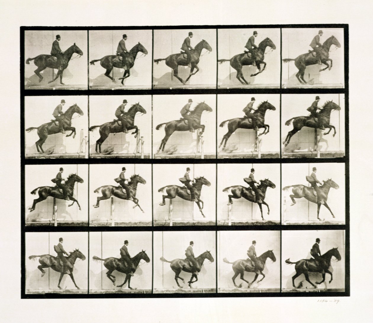 Homme et cheval sautant une clôture, 1887 - Eadweard Muybridge