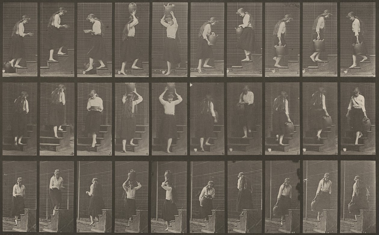 Numéro de plaque 504. Montée et descente des escaliers, 1887 - Eadweard Muybridge