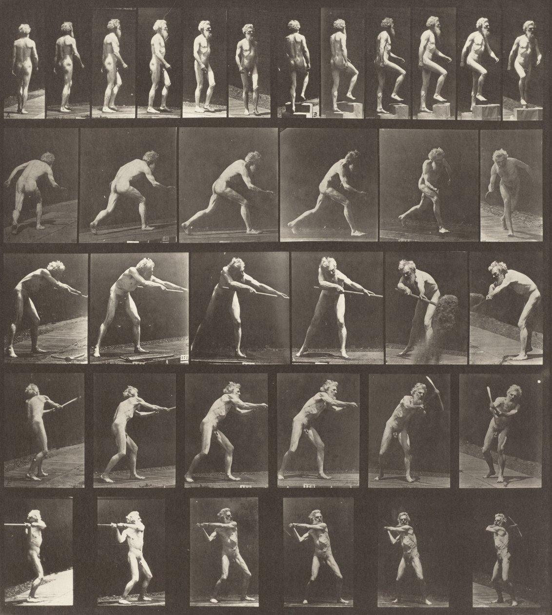 Planche numéro 521. A : Marcher. B : Monter une marche. C : Lancer le disque. D : Utiliser une pelle, 1887 - Eadweard Muybridge