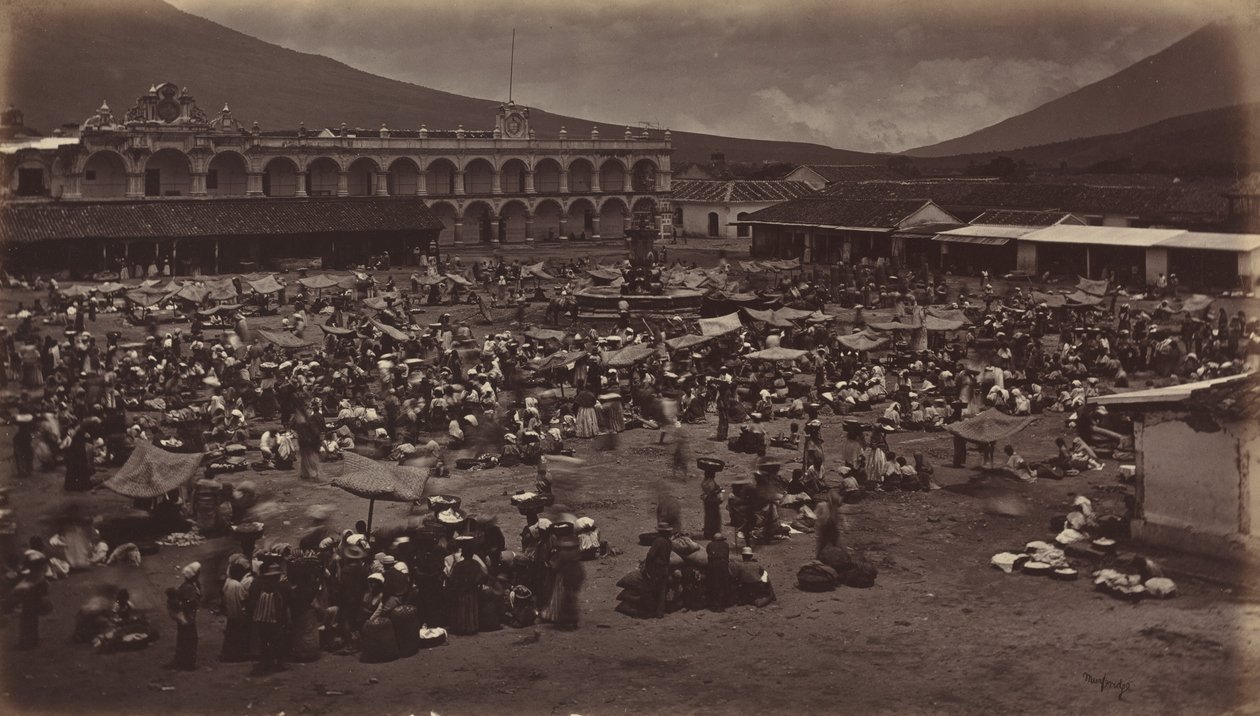 Place et Palais du Vice-roi - Antigua de Guatemala, 1877 - Eadweard Muybridge