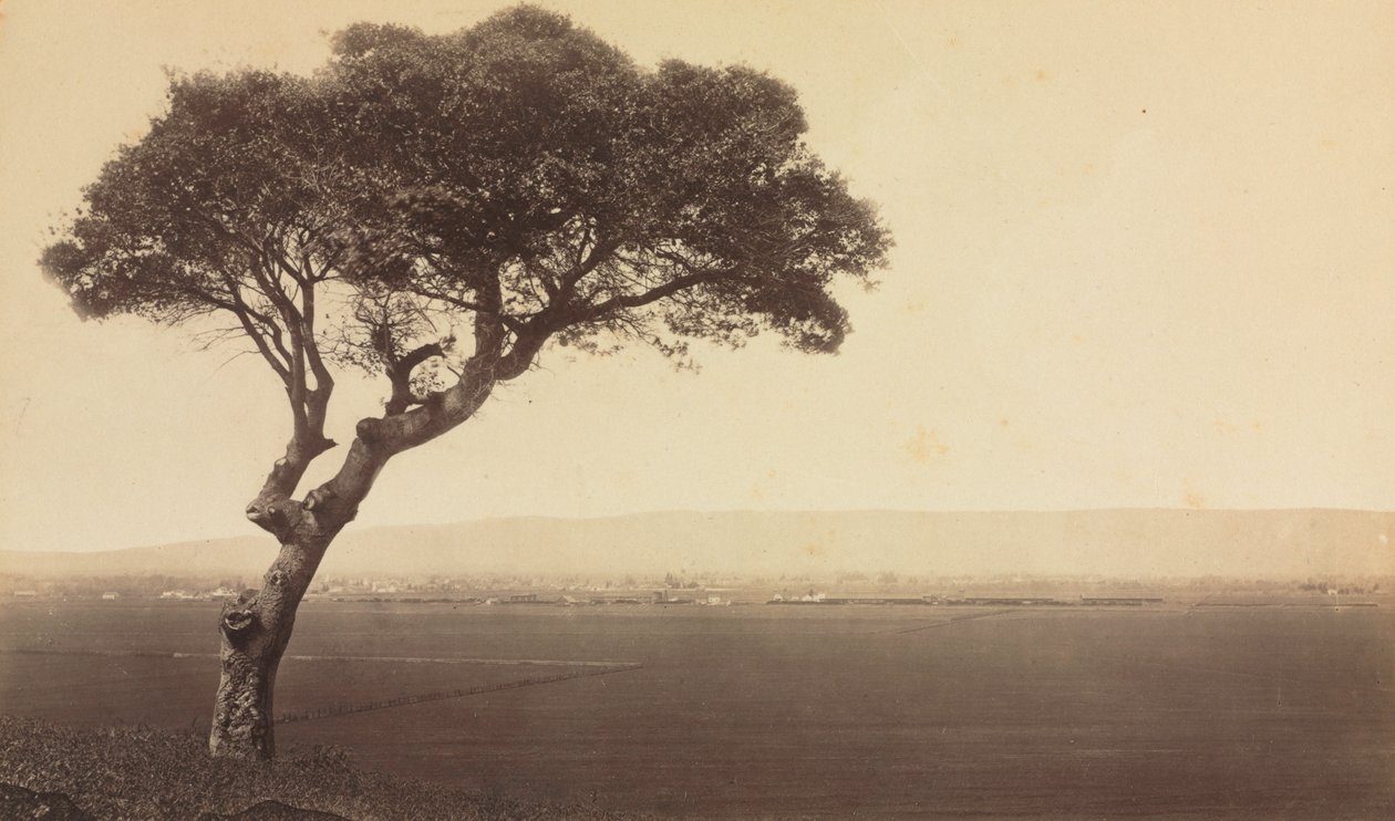Paysage sans Titre près de Watsonville, Californie, vers 1879 - Eadweard Muybridge