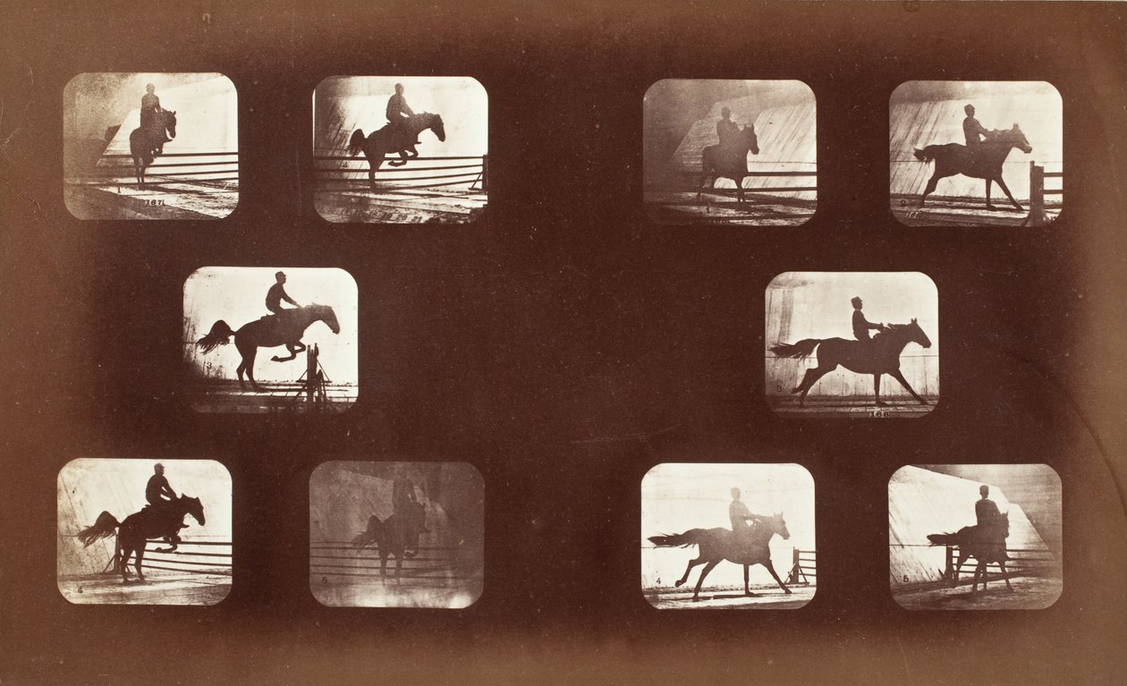 Locomotion animale (homme à cheval franchissant des haies) - Eadweard Muybridge