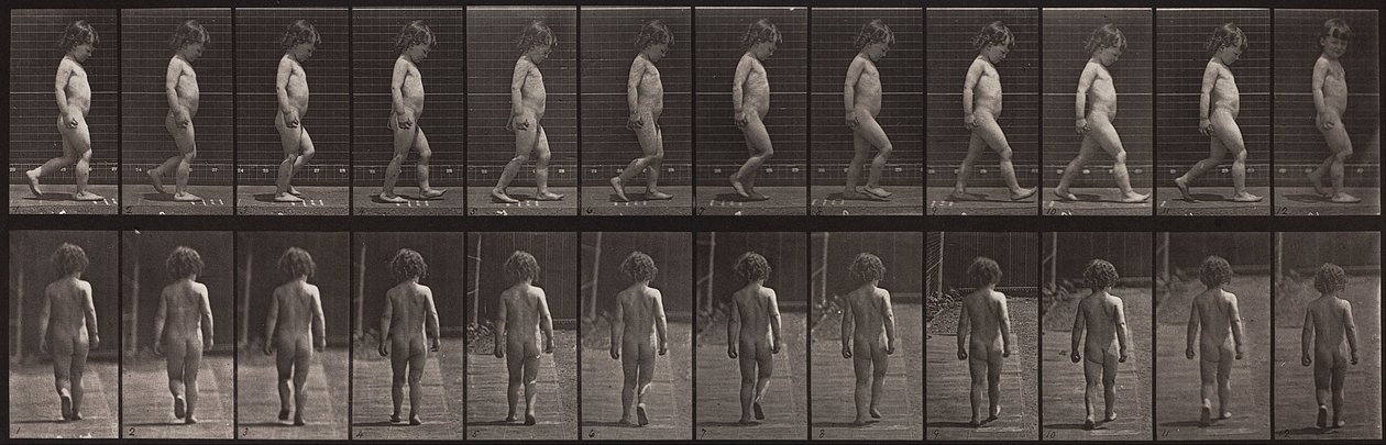 Locomotion animale, planche 467 - Eadweard Muybridge