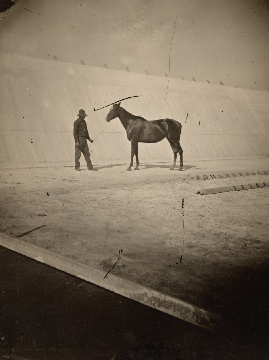 Détail de la piste de la ferme équestre de Leland Stanford à Palo Alto, 1878-1879 (photo) - Eadweard Muybridge