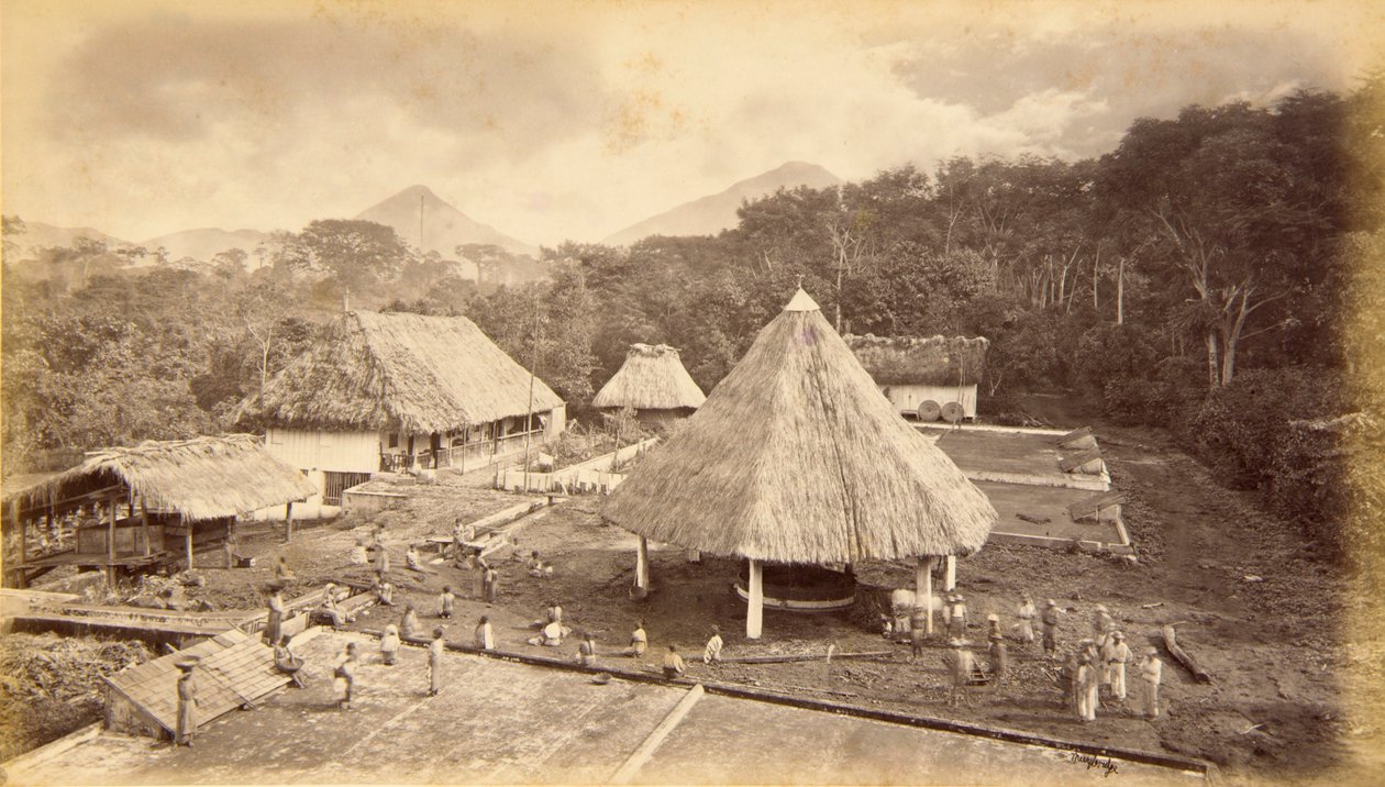 Hacienda William Nelson, San Isidro, Guatemala - Eadweard Muybridge