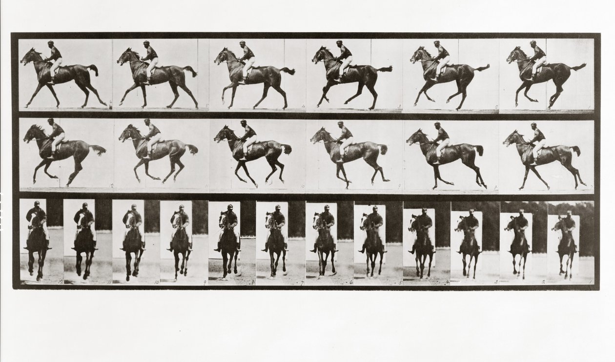Cheval et cavalier, Planche 621 de Animal Locomotion, 1887 - Eadweard Muybridge