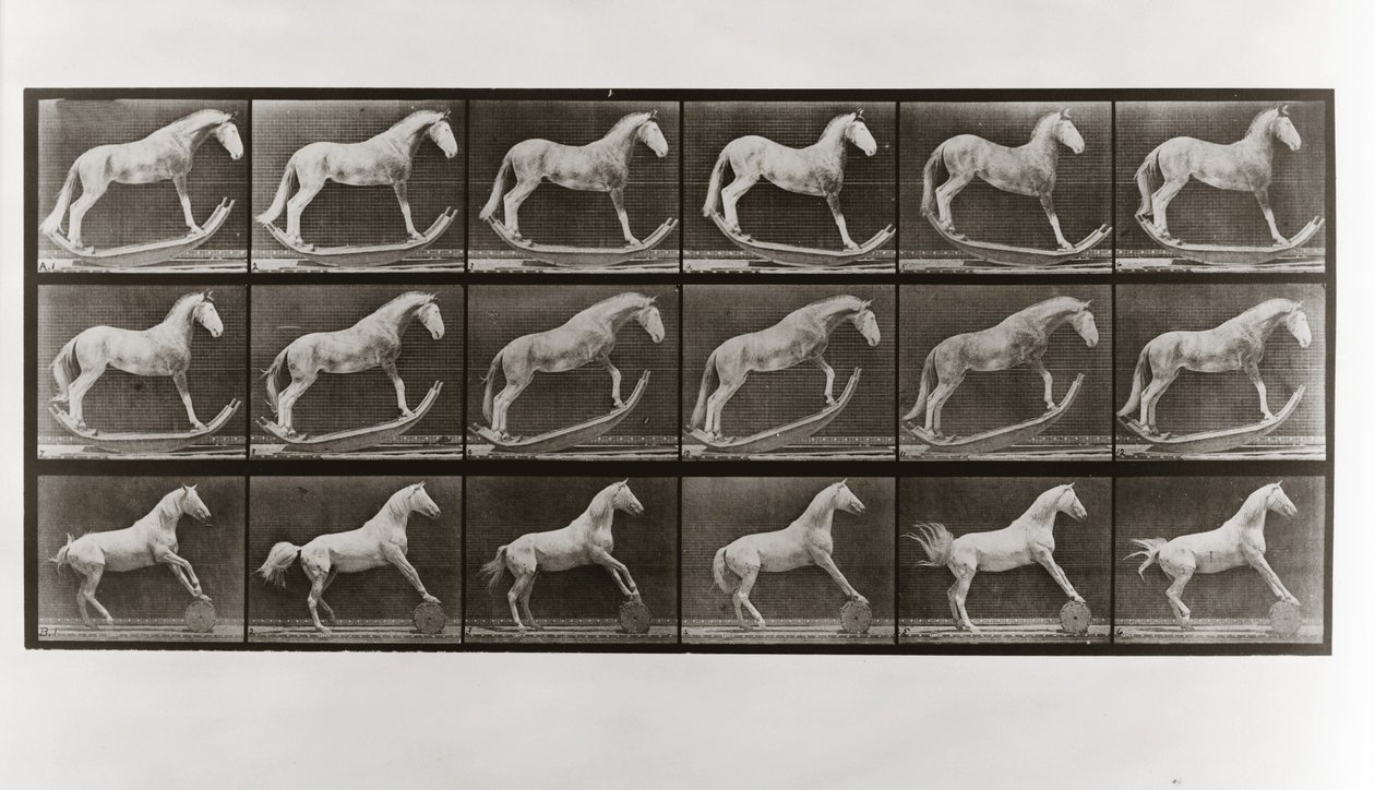 Cheval sur des bascules et cheval roulant un tonneau, Planche 649 de Animal Locomotion, 1887 - Eadweard Muybridge