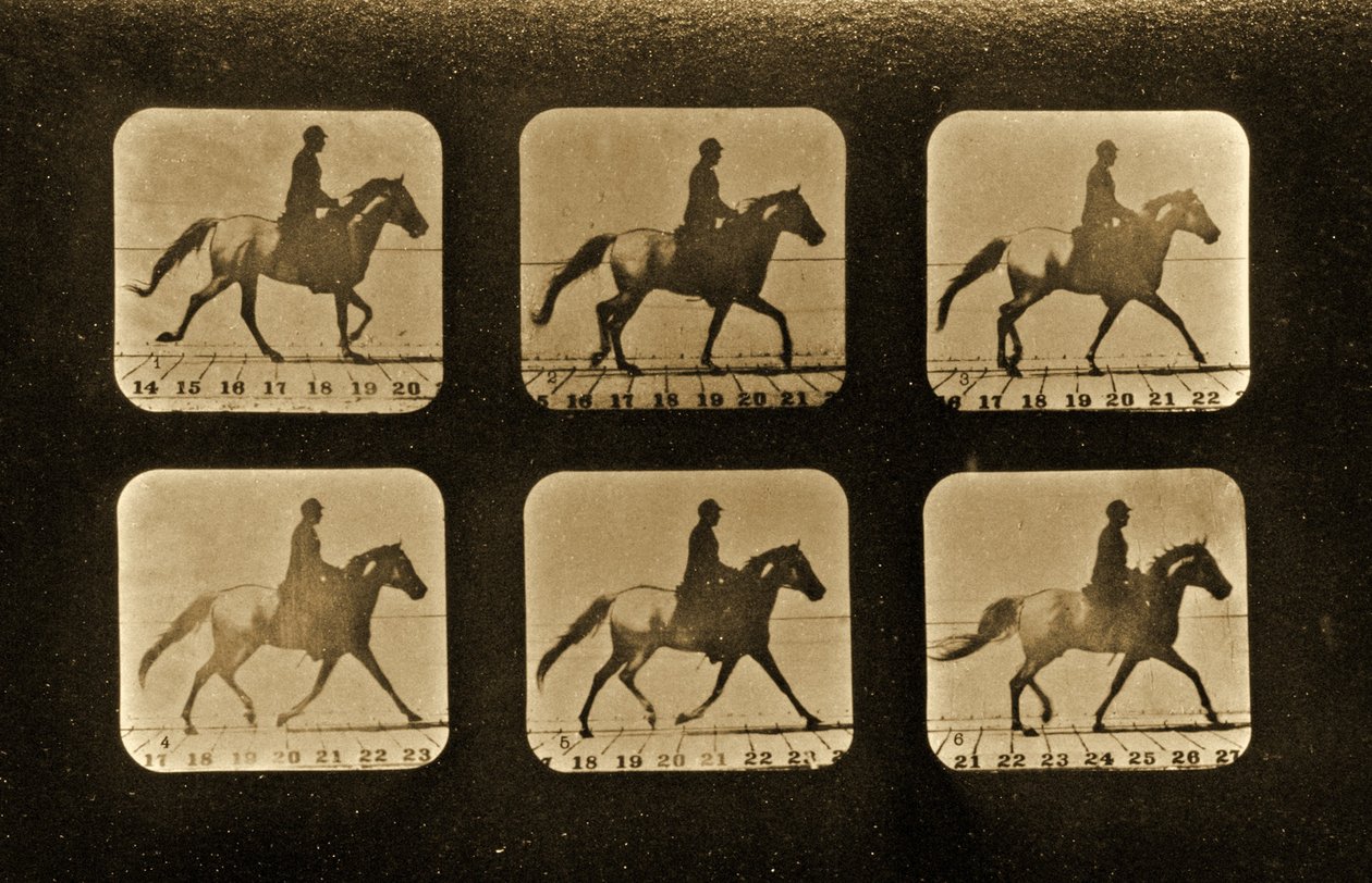 Chevaux. Irrégulier, série 