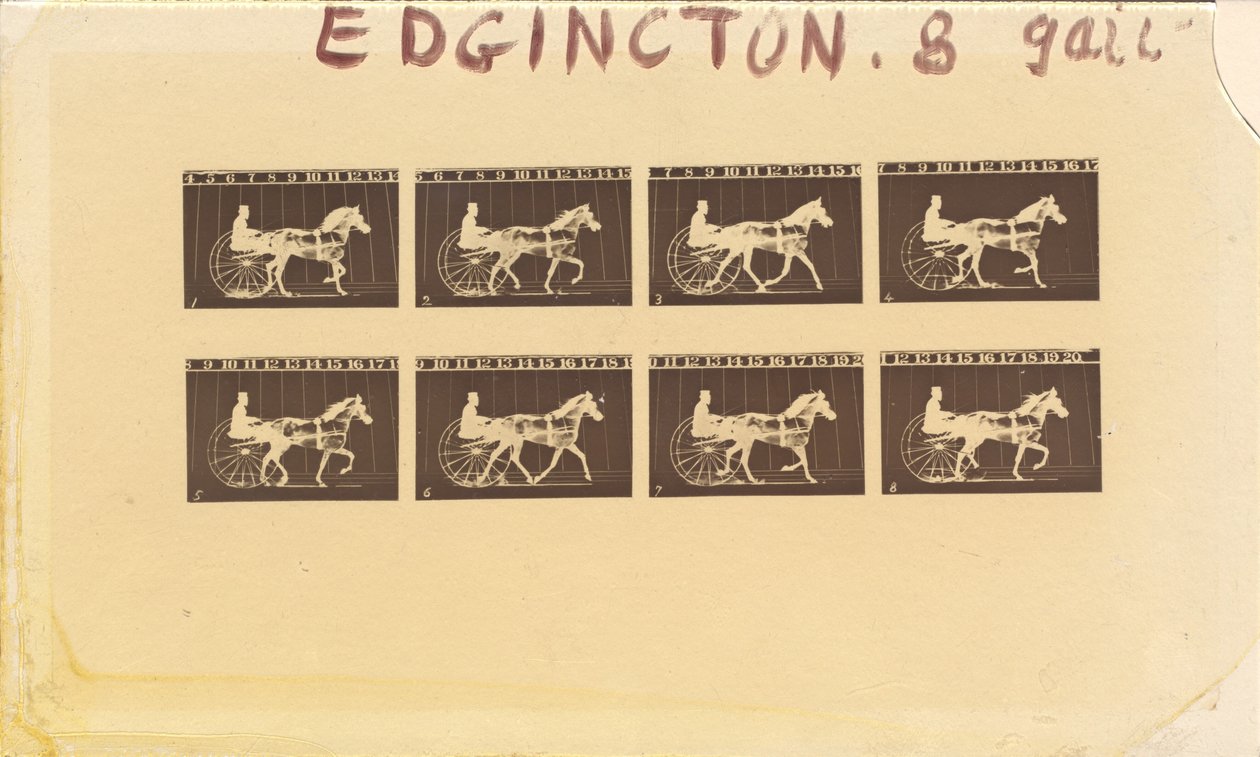 Internegatif pour chevaux. Trot. Abe Edgington. No. 28 - Eadweard Muybridge