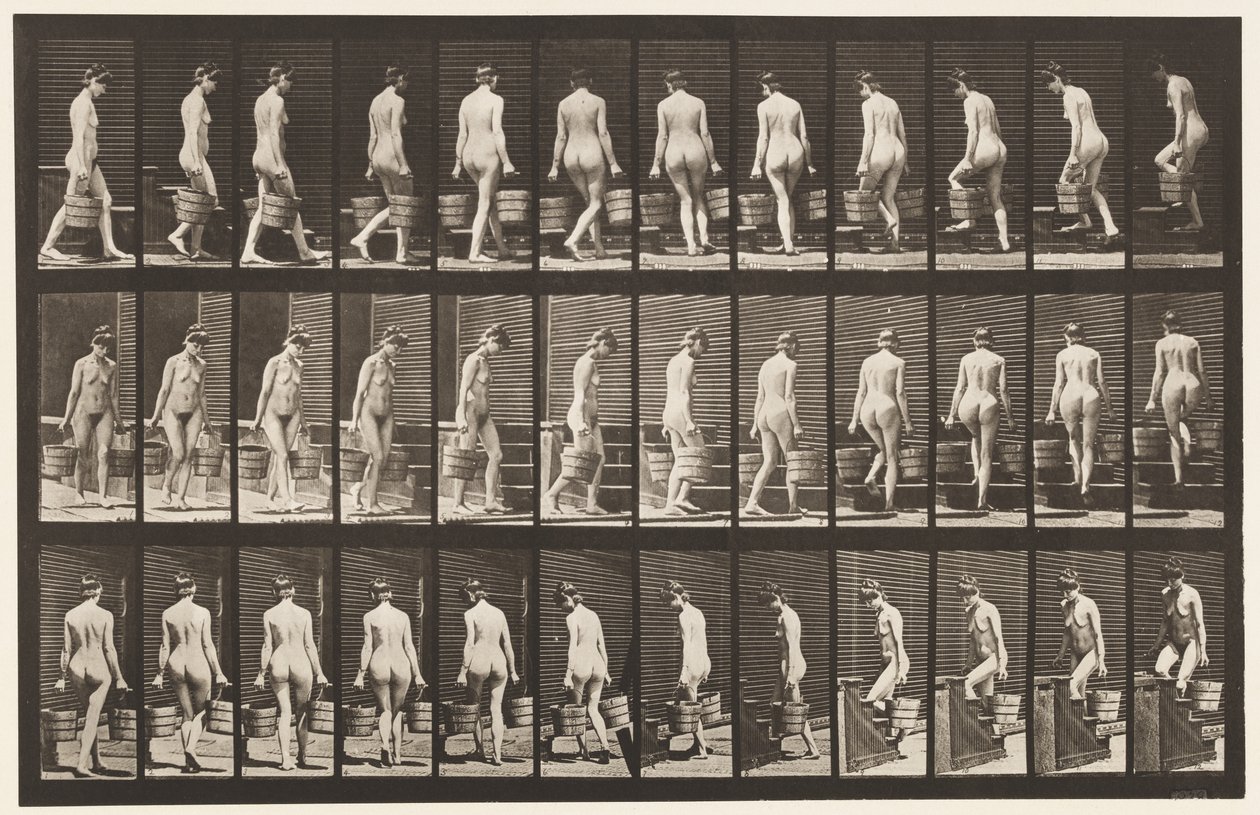 Planche 104. Tournant et montant des escaliers, seau d