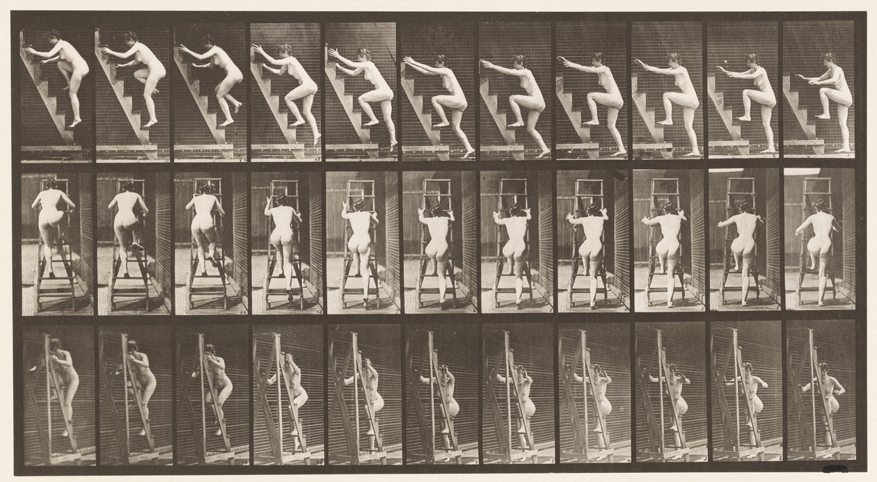 Plaque 110. Monter un escabeau, deux marches à la fois - Eadweard Muybridge