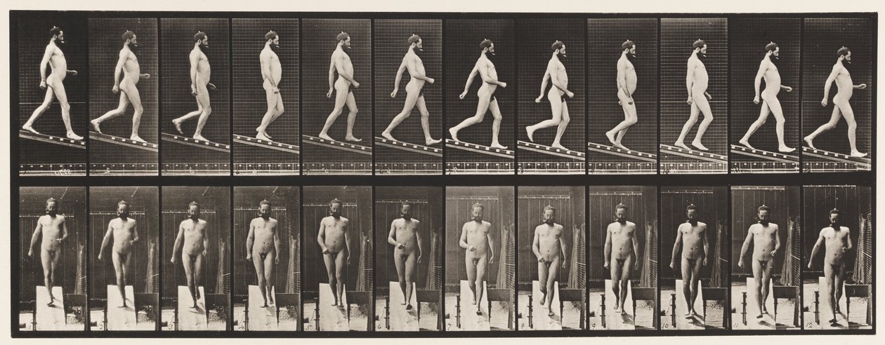 Planche 113. Descendre une pente, 1 sur 4 - Eadweard Muybridge