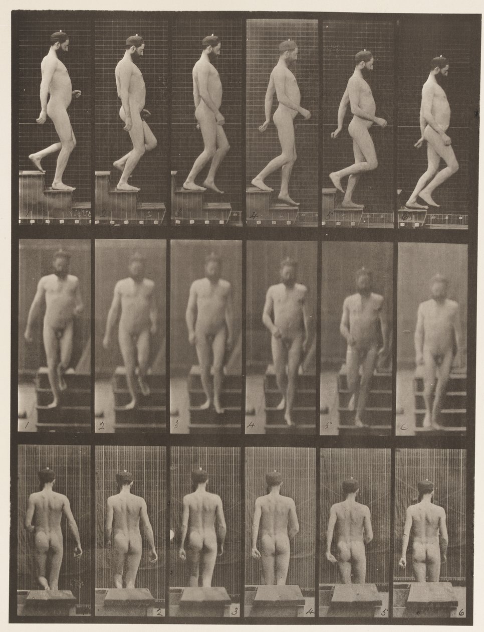 Planche 127. Descendre les escaliers, 1872-1885 - Eadweard Muybridge