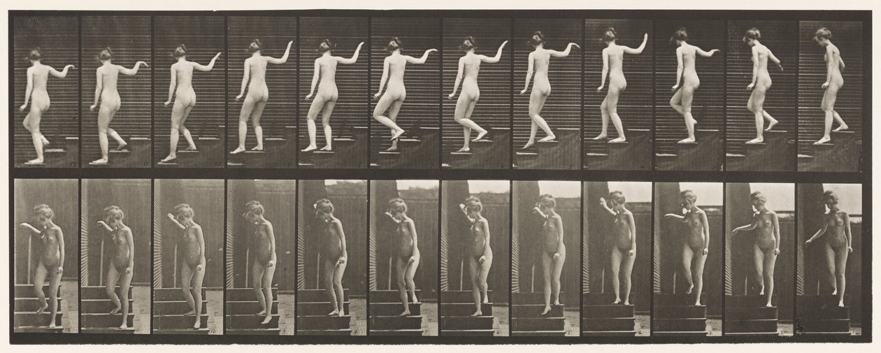 Planche 132. Descendre les escaliers, se tourner pour regarder autour et agiter la main - Eadweard Muybridge