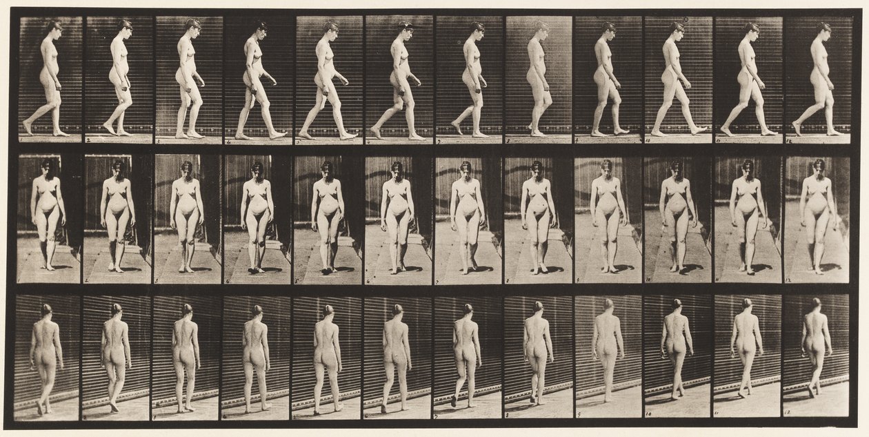 Planche 13. Marche, 1872-1885 - Eadweard Muybridge