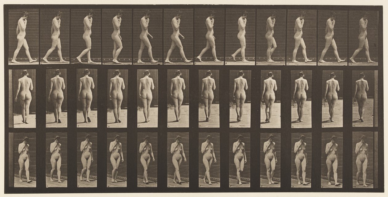 Planche 14. Marche, main droite au menton, 1872-1885 - Eadweard Muybridge