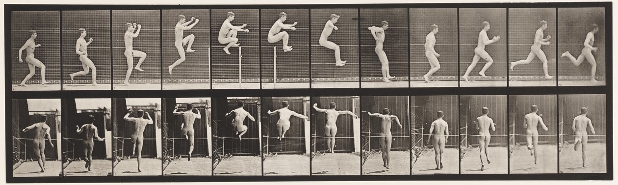 Saut; Course droite, saut en hauteur - Eadweard Muybridge