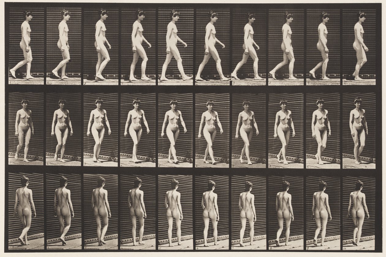 Marcher, 1872-1885 - Eadweard Muybridge