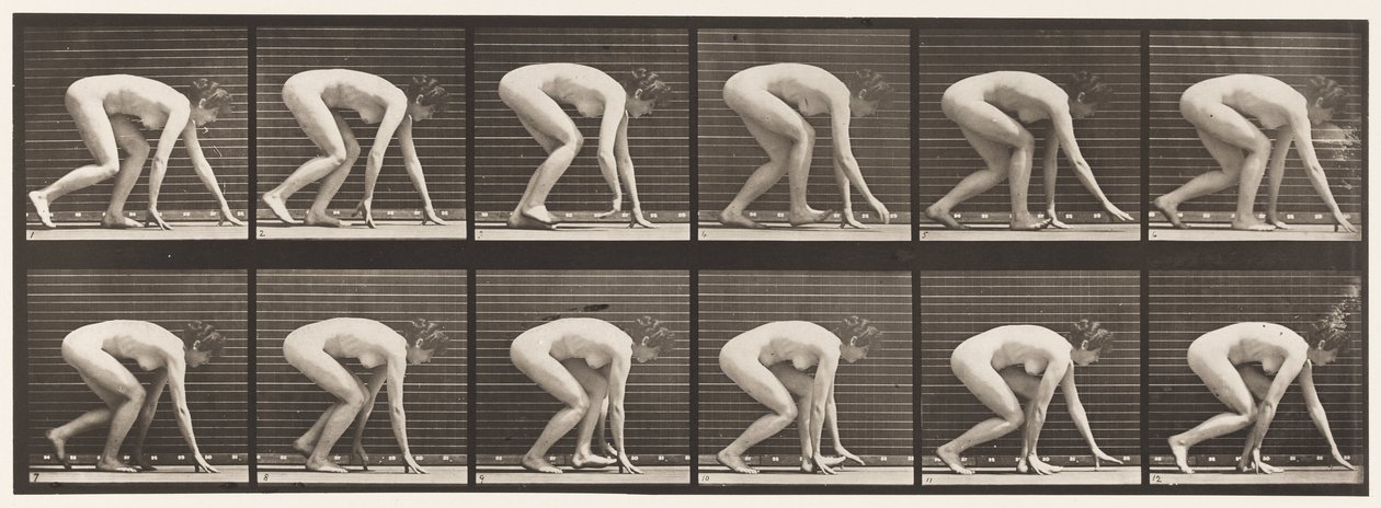 Planche 183. Marcher sur les mains et les pieds - Eadweard Muybridge