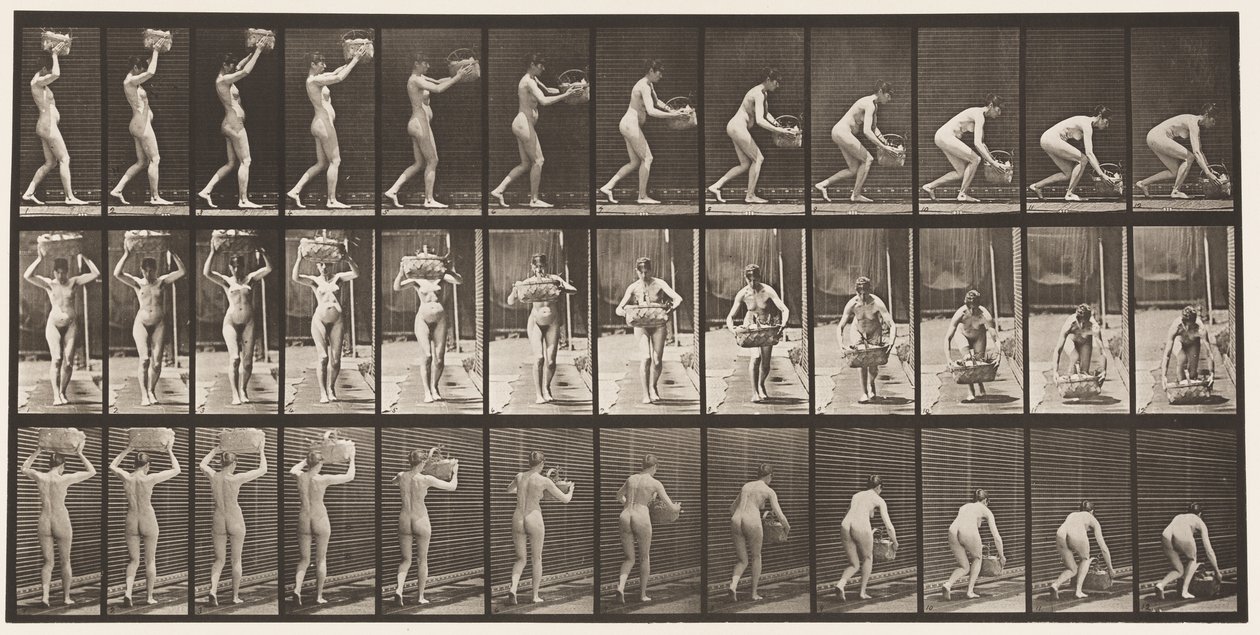 Prendre un panier de 12 lb de la tête, le poser au sol - Eadweard Muybridge