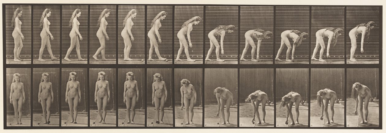 Planche 204. S