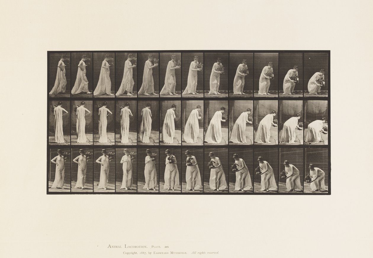 Planche 205. Portant et se penchant avec un vase, 1885 - Eadweard Muybridge