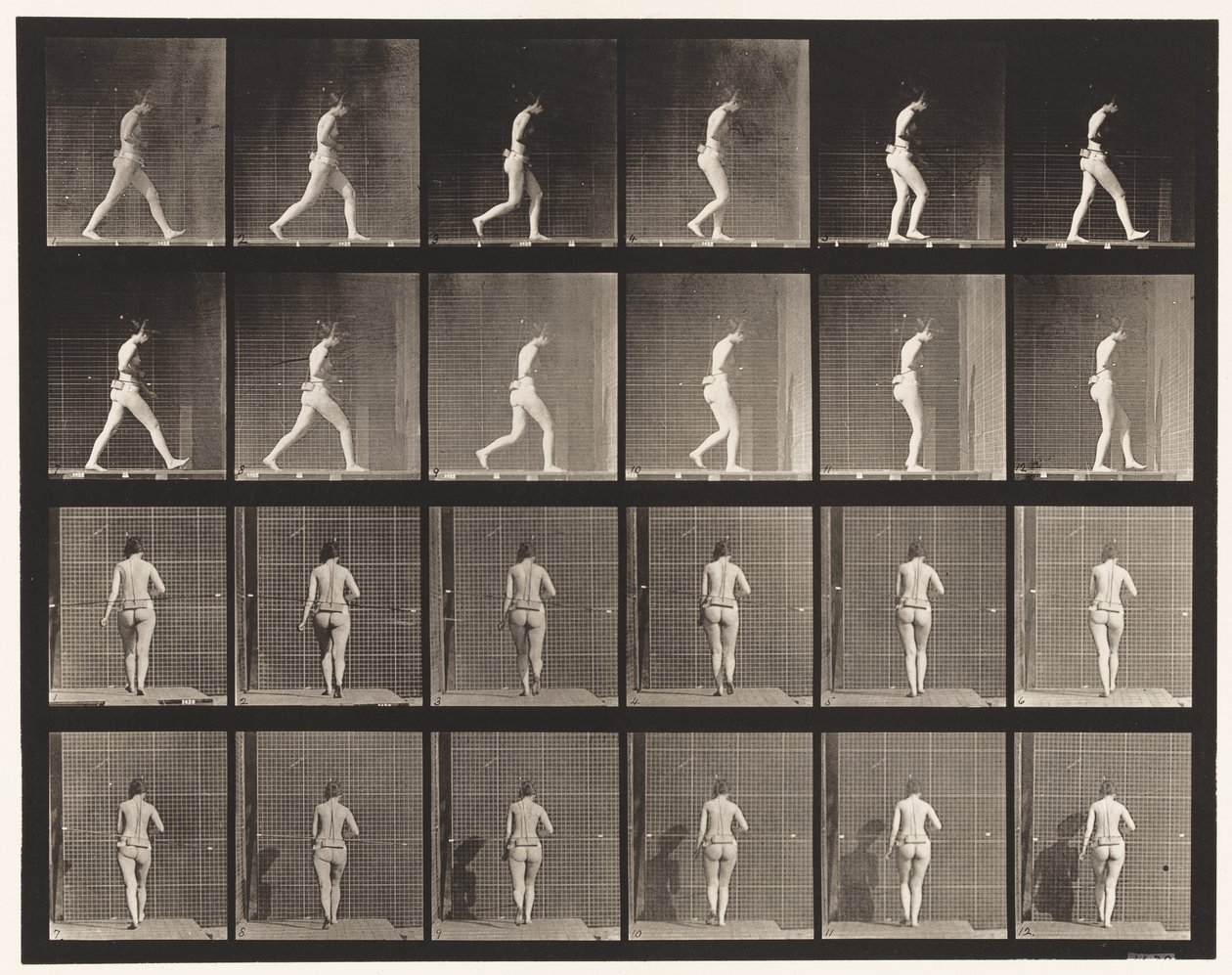Planche 20. Marche, coude droit plié - Eadweard Muybridge