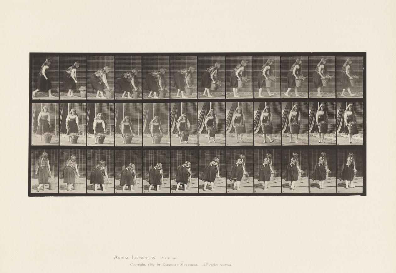 Planche 217. Se pencher, soulever et porter un panier de 30 lb - Eadweard Muybridge
