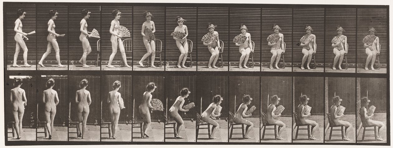 Planche 237. S