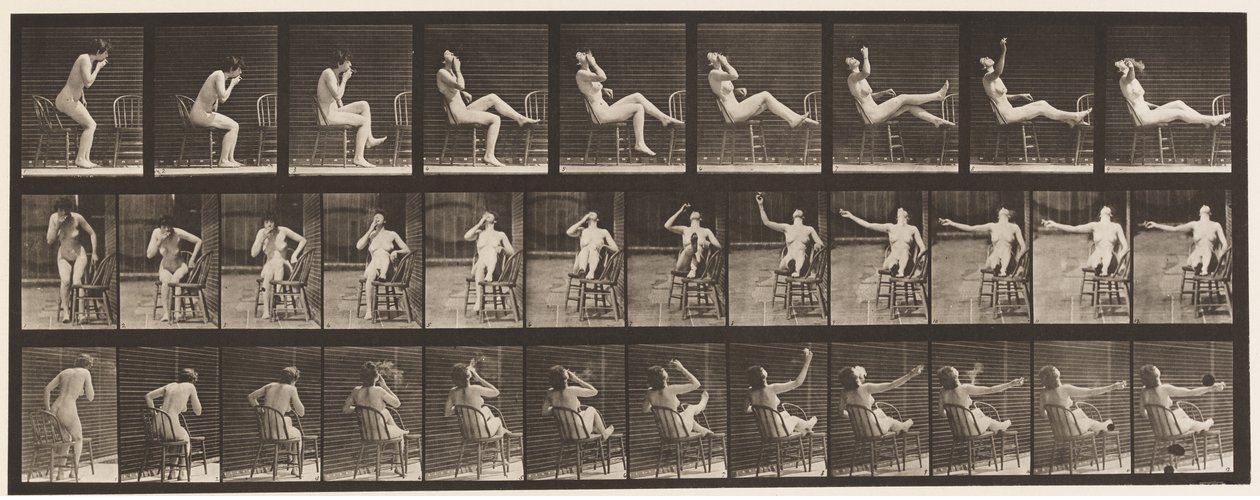 Planche 247. S