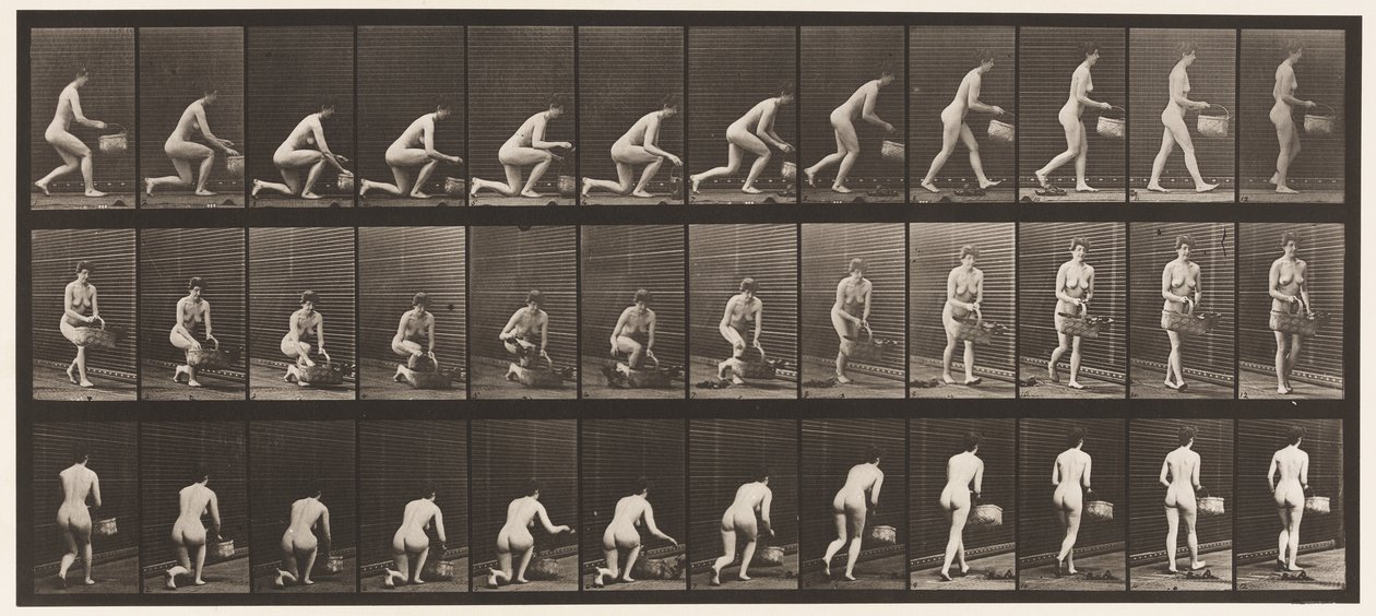 Planche 251. S