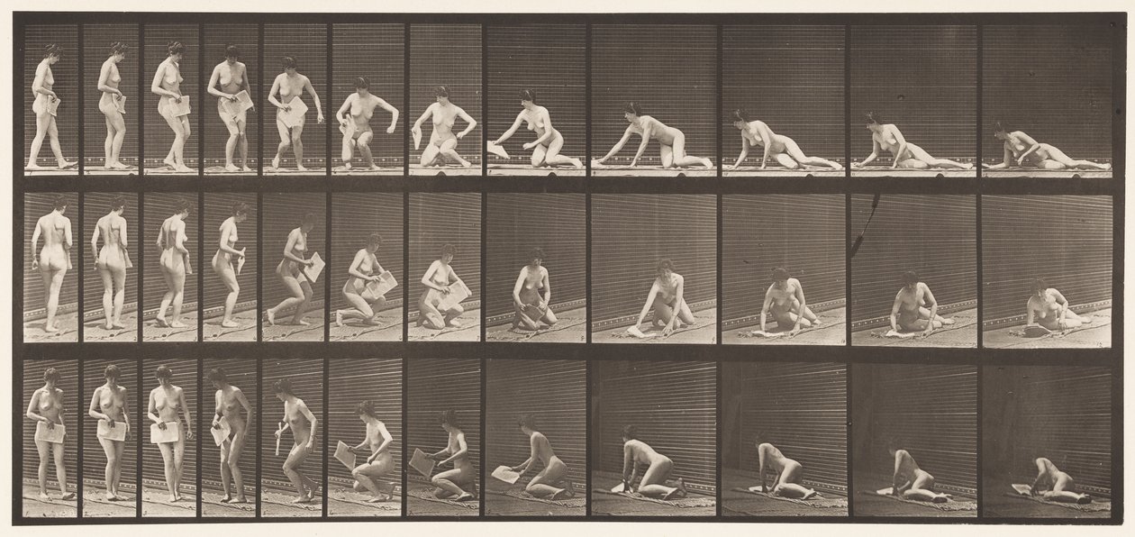 Planche 256. Allongé sur le sol et lisant, 1872-1885 - Eadweard Muybridge