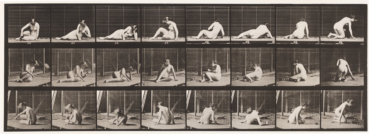 Planche 266. Se tourner et changer de position tout en restant au sol - Eadweard Muybridge