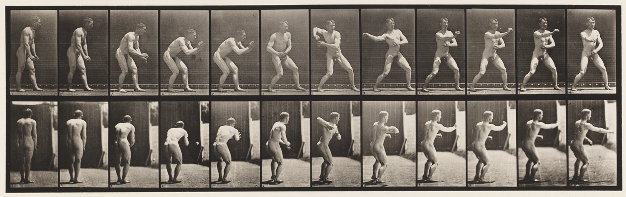 Planche 285. Base-ball; Attraper et lancer - Eadweard Muybridge