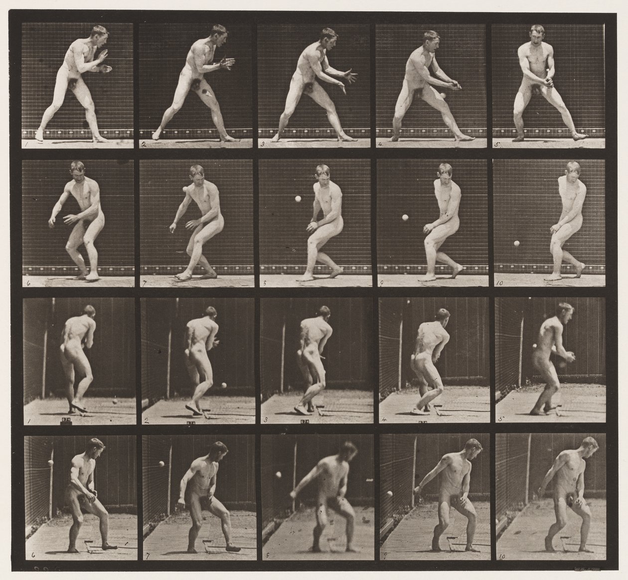 Planche 288. Base-ball; Erreur - Eadweard Muybridge