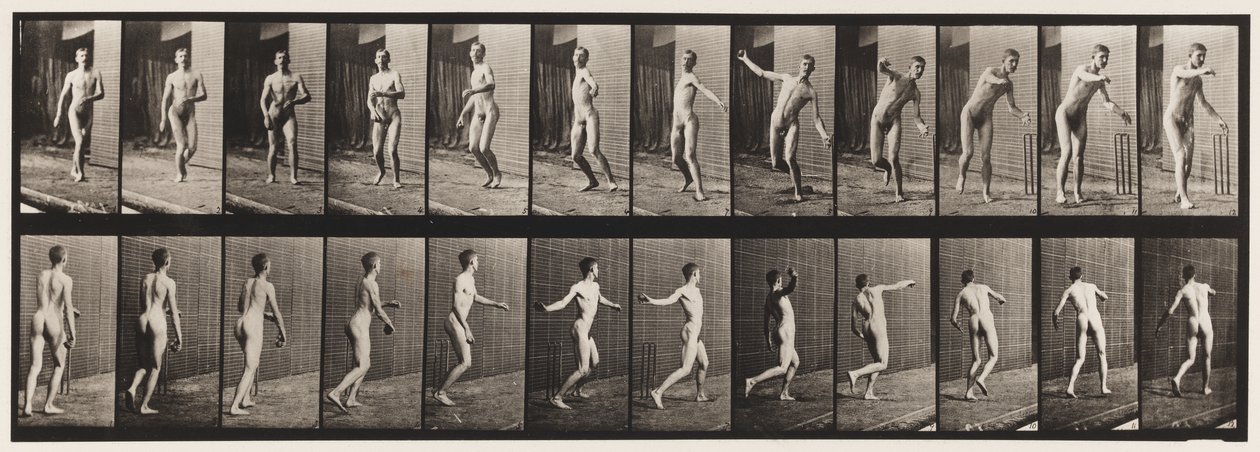 Planche 289. Cricket ; lancer à bras rond, 1885 - Eadweard Muybridge