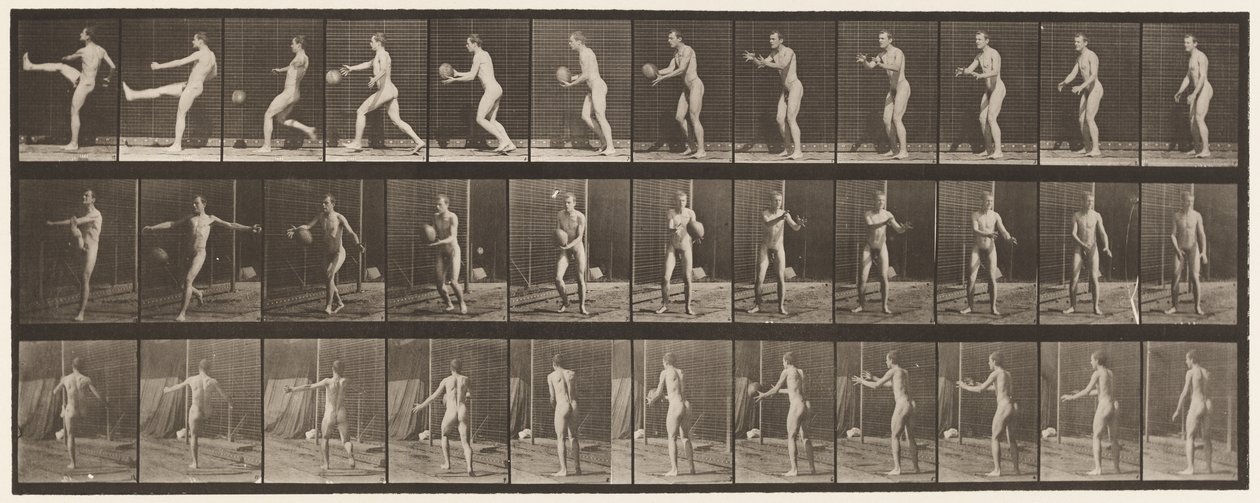 Planche 301. Football; Punt, 1885 - Eadweard Muybridge