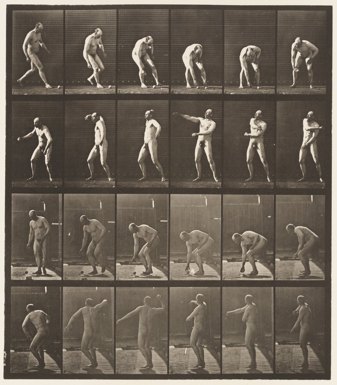 Planche 302. Ramasser une balle et la lancer, 1885 - Eadweard Muybridge
