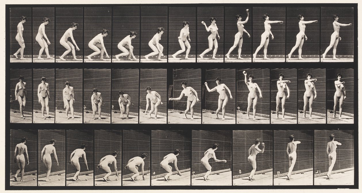 Ramasser une balle et la lancer - Eadweard Muybridge