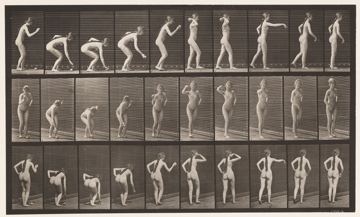 Plaque 304. Ramasser une balle et la lancer - Eadweard Muybridge